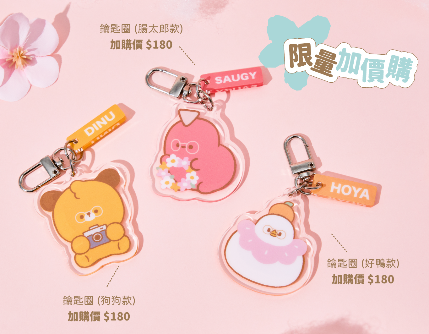 dtto加購價