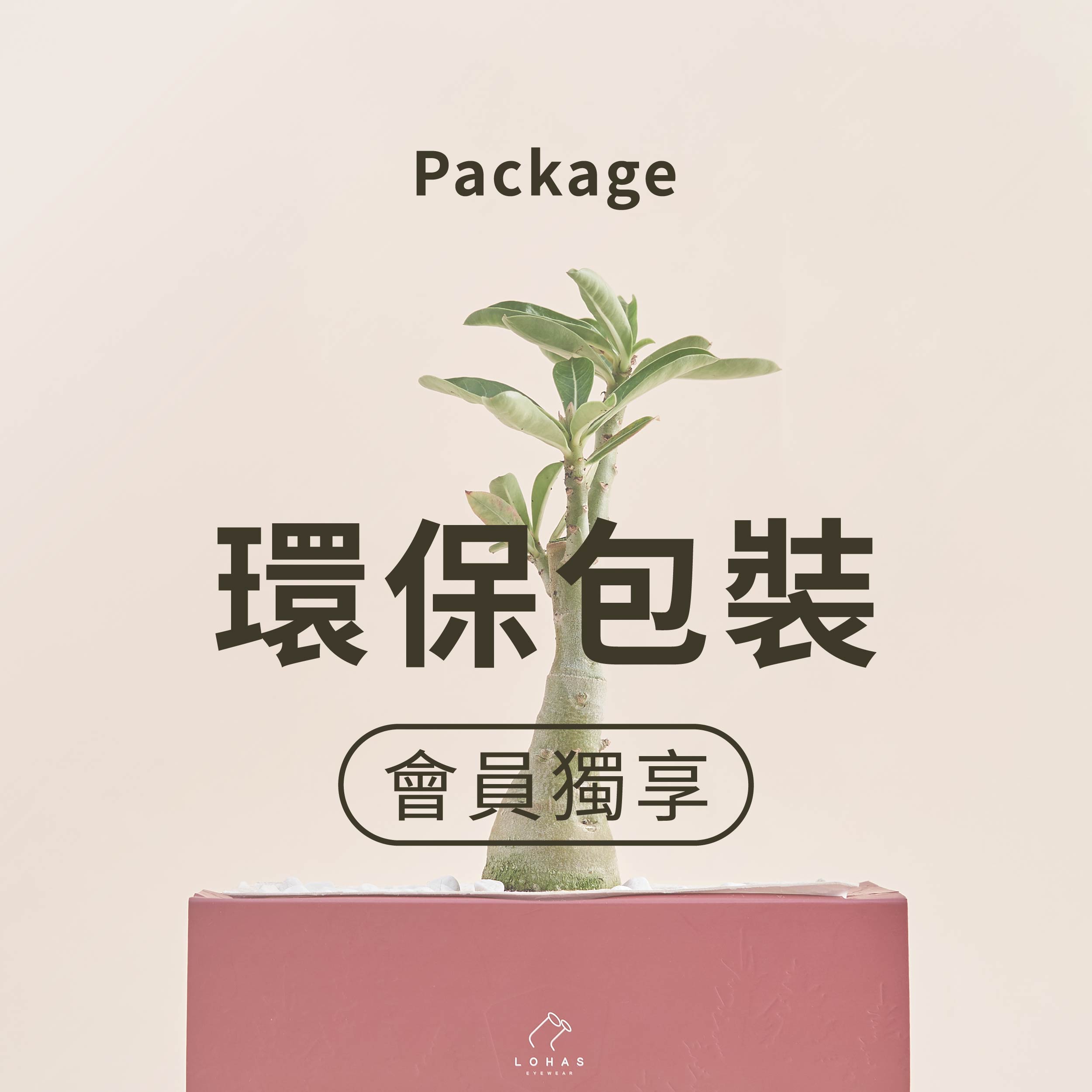 2023年減碳計畫